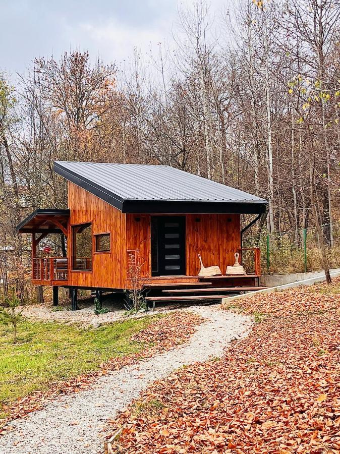 Moodysun Studio, Remote Tiny Home Comarnic Exterior photo