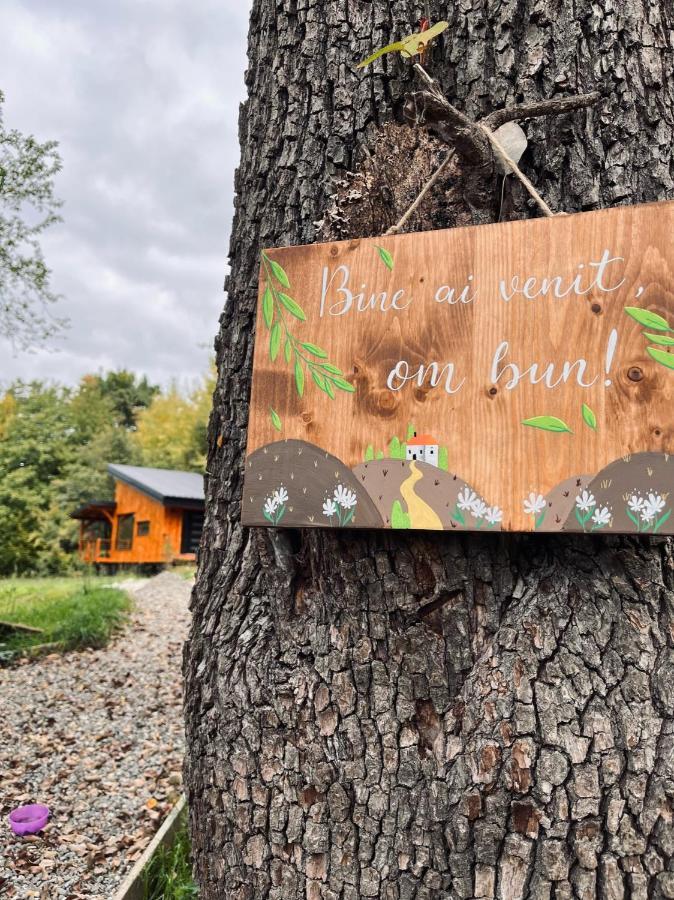 Moodysun Studio, Remote Tiny Home Comarnic Exterior photo